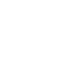 NPS Media LOGO HVIT Transparent